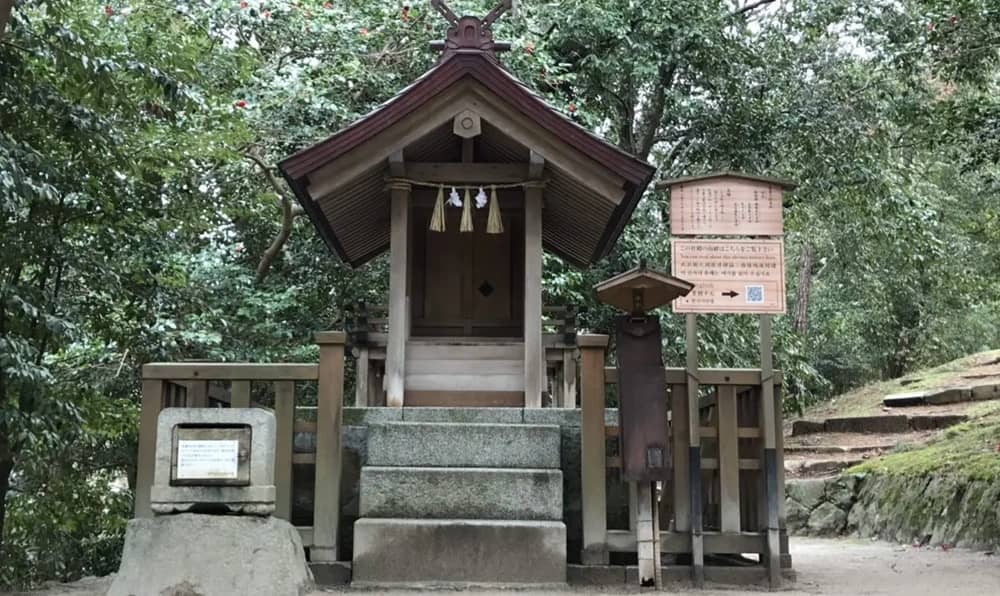 【保存版】正しい参拝方法を解説!出雲大社で絶対やってはいけないタブー10選