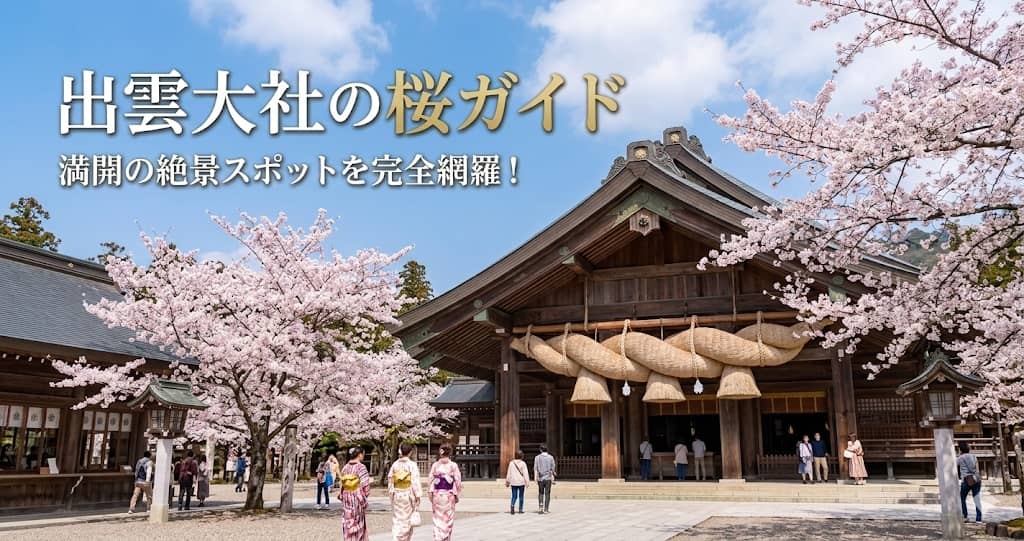 2026年出雲大社の桜ガイド｜満開予測と心を整える「早朝6時」参拝ルート